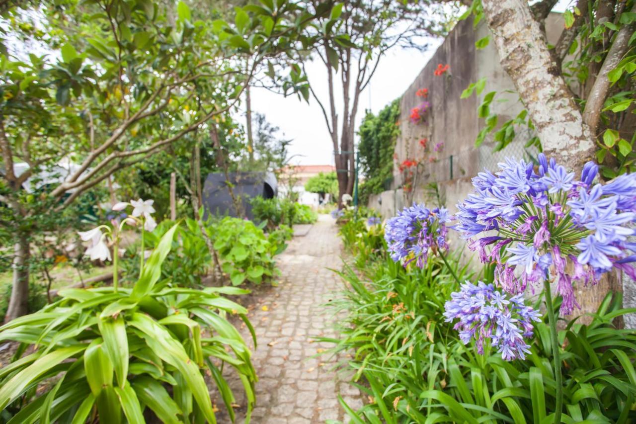 Beautiful Country House&Romantic Garden Sintra Dış mekan fotoğraf