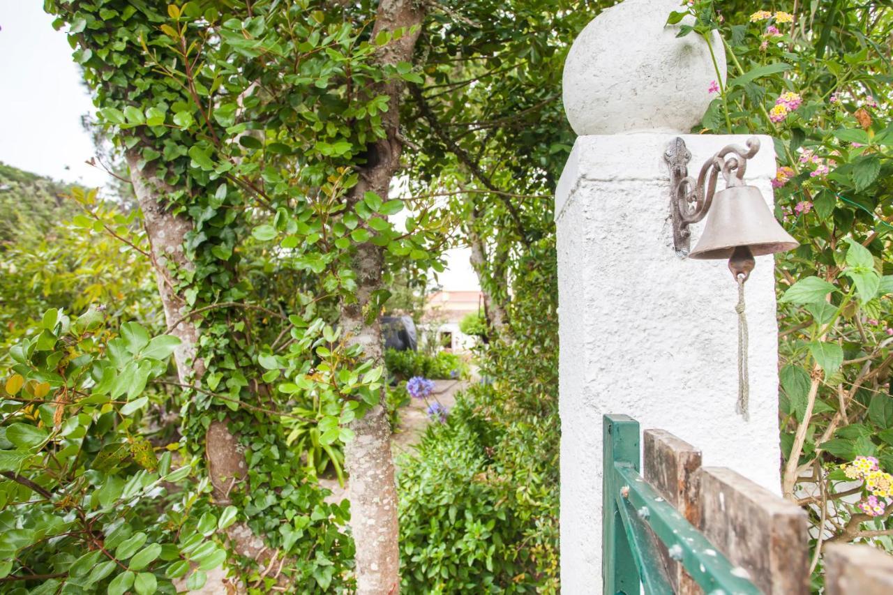 Beautiful Country House&Romantic Garden Sintra Dış mekan fotoğraf