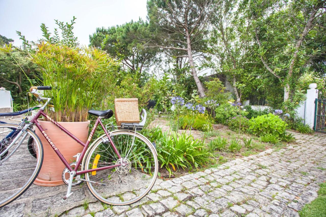 Beautiful Country House&Romantic Garden Sintra Dış mekan fotoğraf